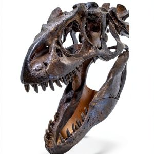StarWalk Kids Media Dinosaur History eBook for Grades 5-9 Kindle-0
