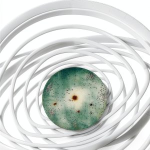 Rizzoli Italian Science Book for Kindle-0